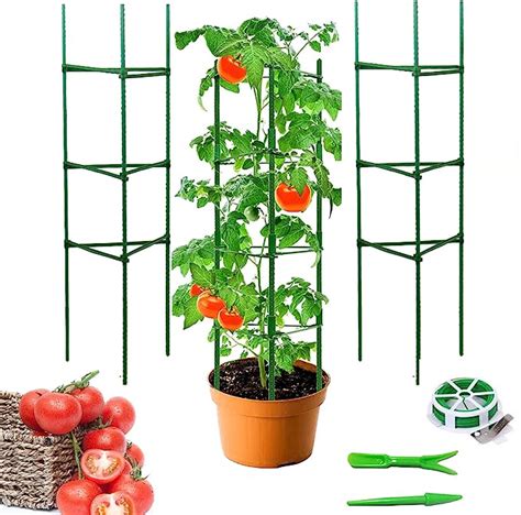 G N Rique Tuteur Tomate Support Plante Grimpante Vertical Cage