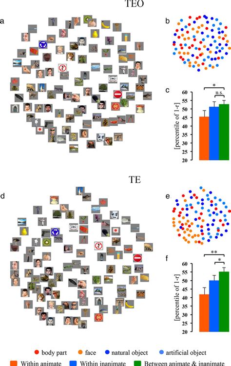 Mds Arrangements And Cluster Effects Animate And Inanimate In Areas