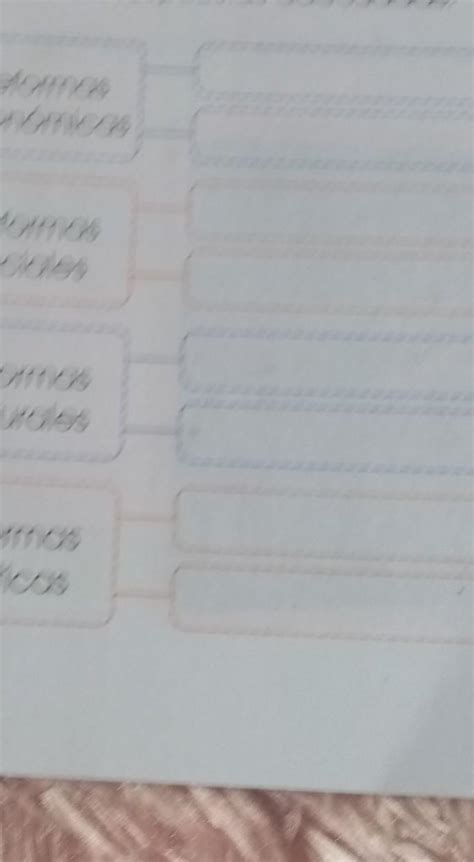 completa el esquema con las respuestas adecuadas reformas borbónicas en