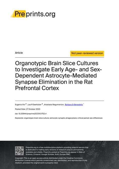 PDF Organotypic Brain Slice Cultures To Investigate Early Age And