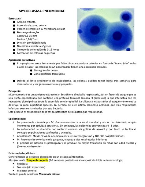 Mycoplasma Pneumoniae Resumen Mycoplasma Pneumoniae Estructura