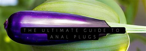 The Ultimate Guide To Anal Plugs A Playful Journey Into Pleasure