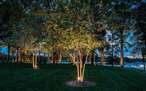 Up Lighting on Crepe Myrtle Tree | Light Up Nashville