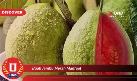 Intip 6 Manfaat Buah Jambu Merah Yang Jarang Diketahui