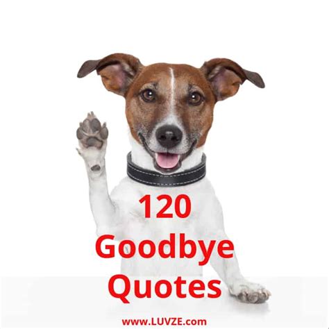 120 Goodbye Quotes and Farewell Sayings & Messages