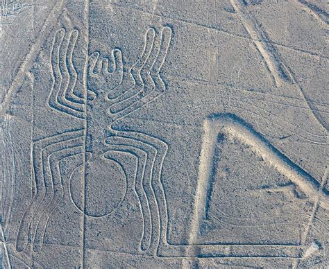 Year Old Nazca Line Featuring Lounging Cat Found In Peru