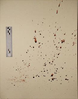 laboratory generated impact spatter bloodstain pattern    eye