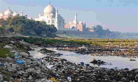 Polluted River Yamuna