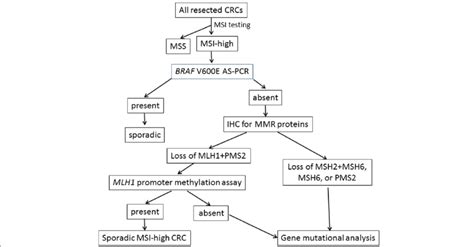 An Algorithmic Approach Used To Identify Lynch Syndrome Patients At Our