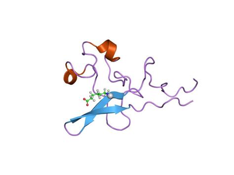 Tissue Plasminogen Activator; Tissue-Type Plasminogen Activator ...