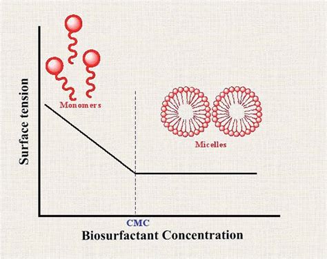 Relationship Between Surface Tension And Biosurfactant Concentration