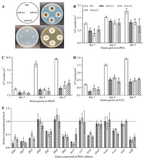 Jof Special Issue Physiology And Biotechnology Of Aspergillus Niger