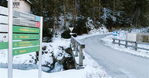 Winterwandern Moosberg Runde Tours In Schladming Dachstein