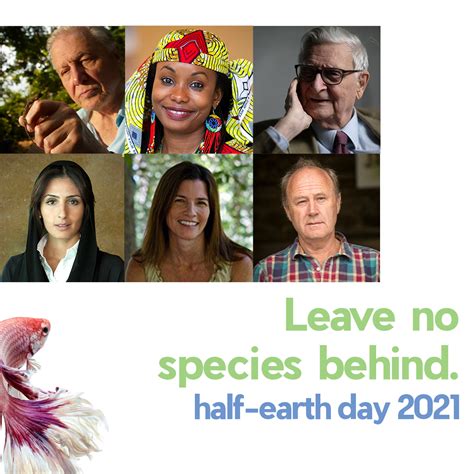 Half Earth Day E O Wilson Biodiversity Foundation