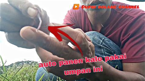 Umpan Andalan Mancing Ikan Wader Tehnik Curang Pasang Umpan Youtube