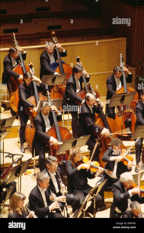 Double bass orchestral section - London Philharmonic Orchestra Royal Festival Hall, London ...