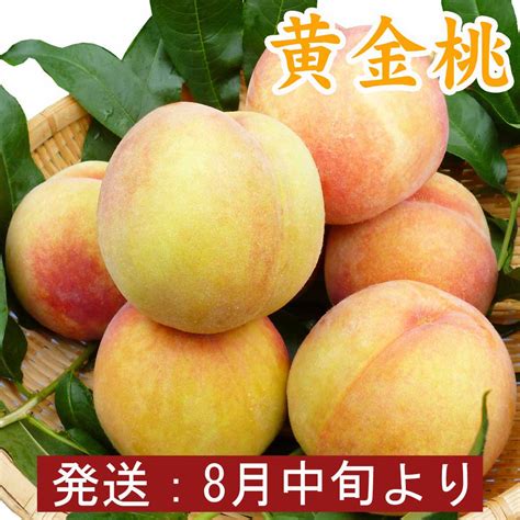 黄金桃（黄桃）10玉 3kg【夏ギフト】【送料無料】 山形の名産品をお届する 愛郷オンラインショップ