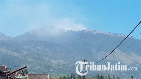 Hutan Gunung Welirang Di Gunung Arjuno Berhasil Dipadamkan 9 5 Hektar