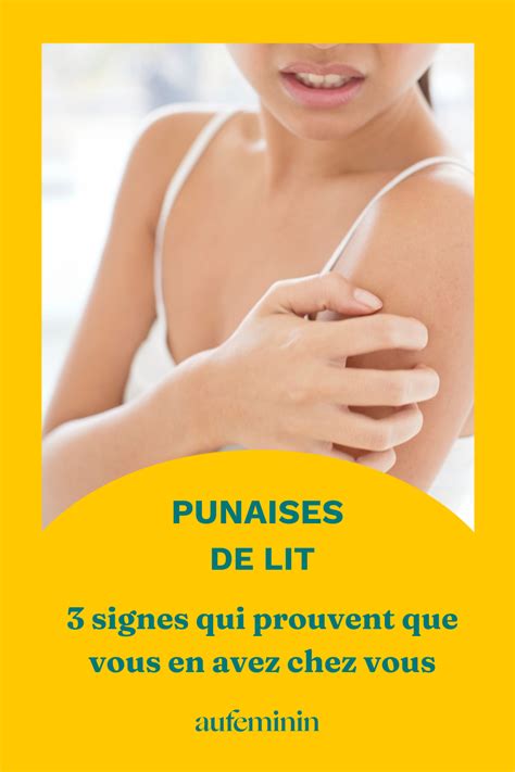 Punaises De Lit 3 Signes Qui Prouvent Que Vous En Avez Chez Vous Artofit