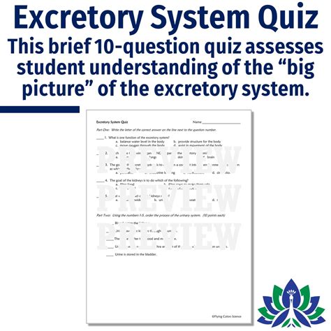 Complete Excretory System Unit Flying Colors Science