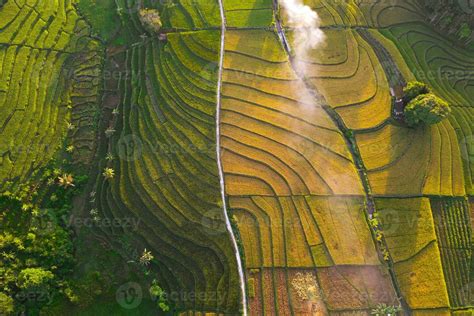 natural landscape of terraced rice terraces in Indonesia 24976696 Stock ...