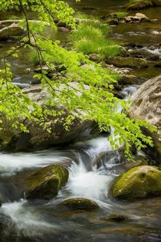 Mountain Stream Cascading Over Rocks Great Smoky Mountains National