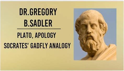 Plato, Apology | Socrates' Gadfly Analogy | Philosophy Core Concepts