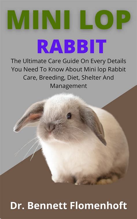 Buy Mini Lop Rabbit: The Ultimate Care Guide On Every Details You Musk Know About Mini Lop ...