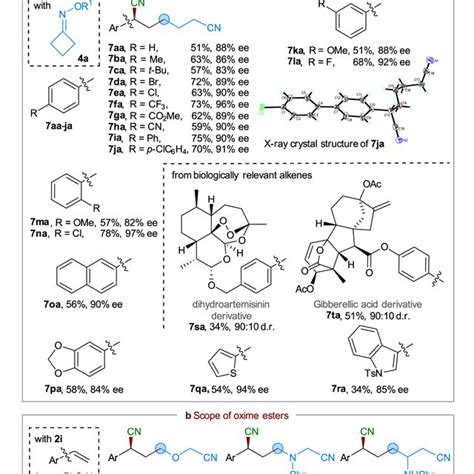 Scope Of The Oxime Esters In Asymmetric Three Component Alkene