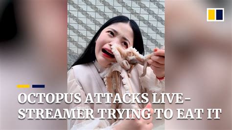 Octopus Attacks Live Streamer As She Tries To Eat It Alive In China Youtube