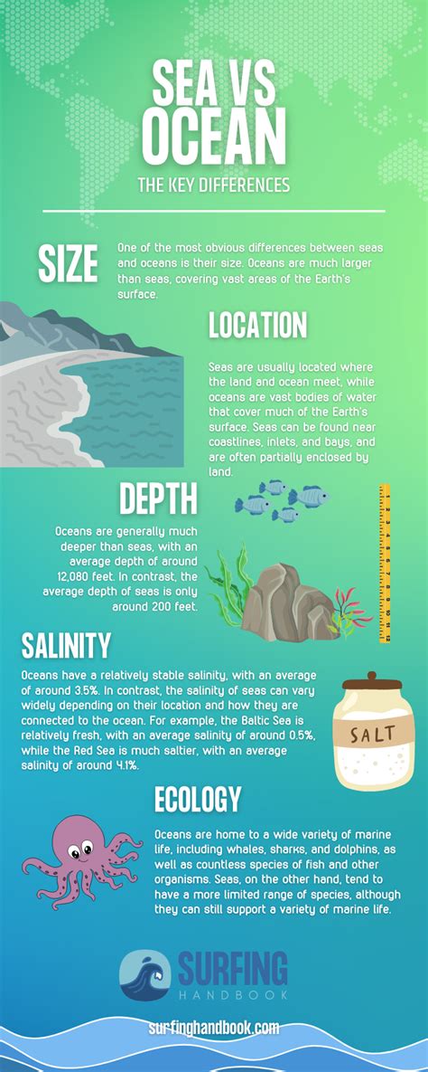 Sea vs Ocean: Understanding the Key Differences – The Surfing Handbook