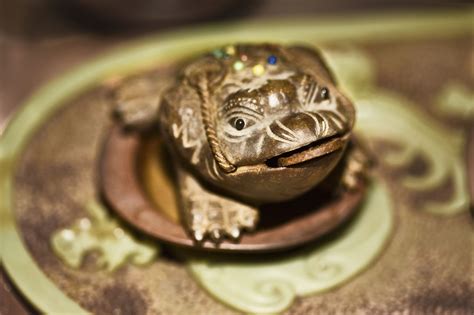 How To Place Your Feng Shui Money Frog