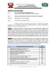 INFORME N 011 2021 ESTADO SITUACIONAL OPP Docx MUNICIPALIDAD