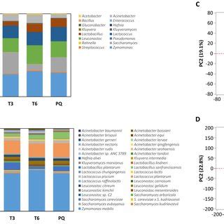 Organismal diversity during pulque fermentation. (A) Genus-level and ...