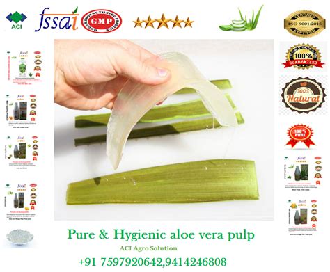 Aloe Vera Pulp CARBO Packaging Size 50 KG At Rs 20 Kg In Jaipur ID