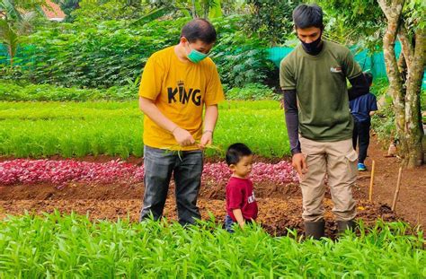 Lulus Dari Polbangtan Bogor Petani Milenial Ini Sukses Kembangkan