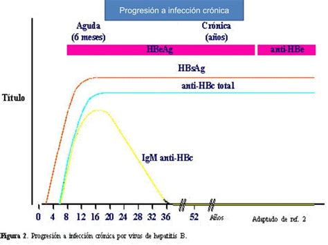 Marcadores Serol Gicos De Las Hepatitis Ppt