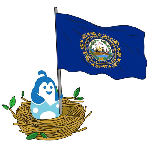 New Hampshire Logo Design - Hatchwise Design and Naming Contests