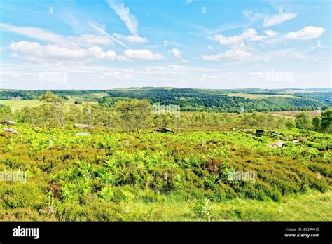 A Summers Day Enjoying The View Of Derbyshires Lush Fern Covered