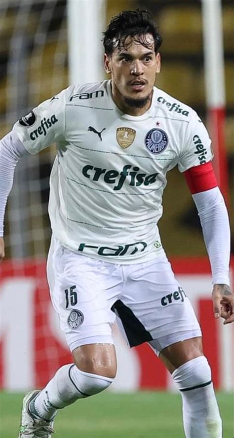 Pin De Sergio Em Palmeiras Palmeiras