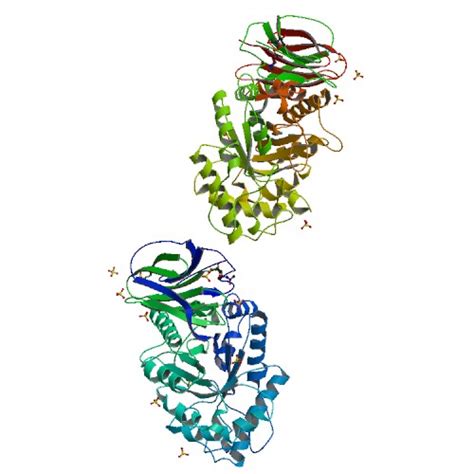 Glucocerebrosidase - wikidoc