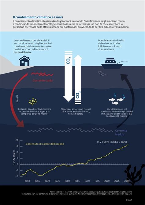 L Acidificazione Degli Oceani Il Progetto Oa Icc Compie Cinque Anni