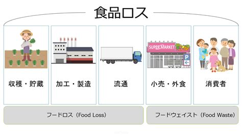 Sdgsとともに考える食品ロスとフードロスの意味の違いとは Eco Table