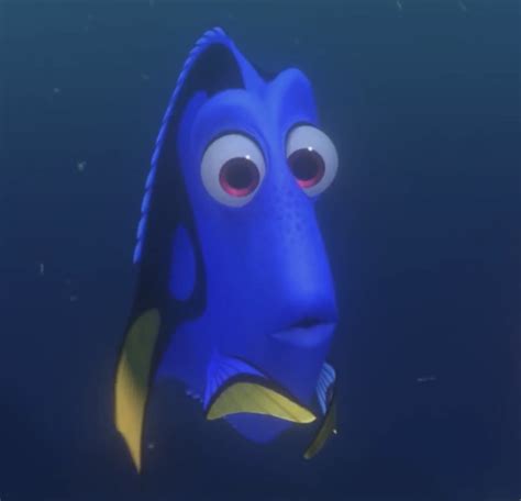 Dory Regal Blue Tang Fish The 3d Computer Animated Wiki Fandom