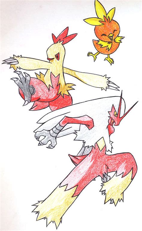 Torchic Evolution by Ricochet05 on DeviantArt