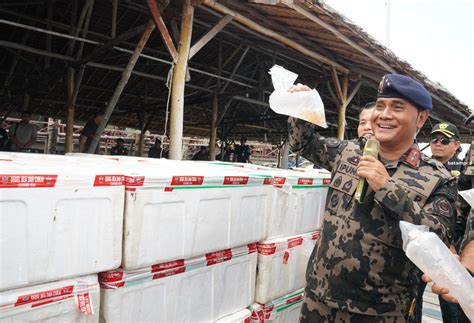 PSDKP Dan Bea Cukai Gagalkan Penyelundupan Benih Lobster Senilai Rp90