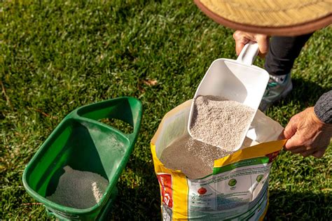 When To Fertilize Your Lawn In Spring What To Use