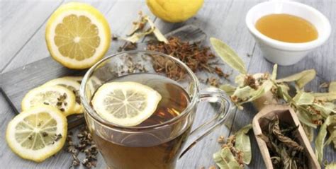 Las Mejores Hierbas Medicinales Para Preparar Infusiones Mui Vida Sana