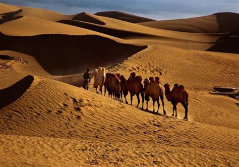 xinjiang taklamkan desert