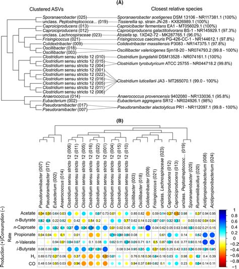 A Clustering Of The Most Abundant Clostridial Amplicon Sequence